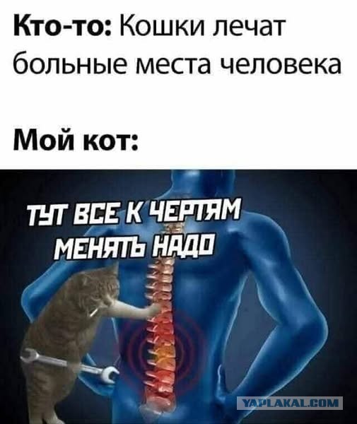 Субботние картинки