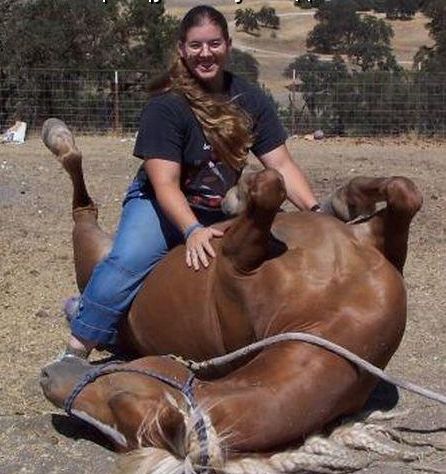 Коня на скаку остановит