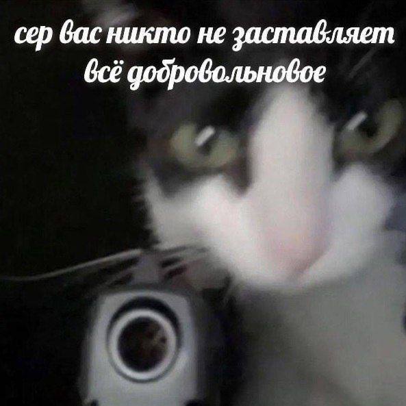 Котямбосы