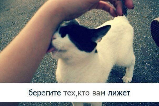 Понедельника картинки