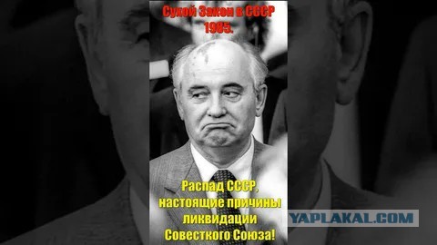 Блокировки интернета и Сухой закон