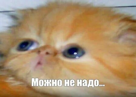 Нет детей-на СВО!