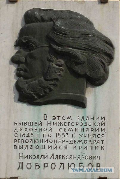 Фото дня