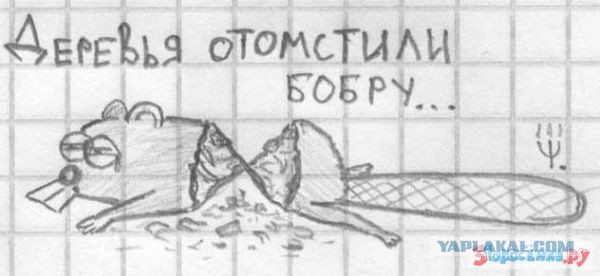 Простой карандаш.