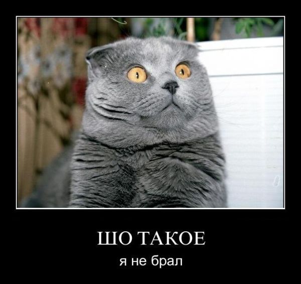 Демотиваторы.
