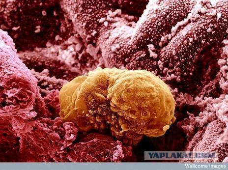 Бытовые предметы очень крупным планом