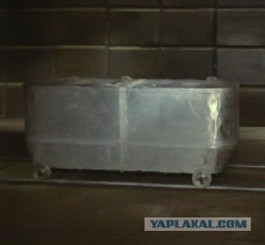 Моя жизнь в капсуле. Япония, Токио