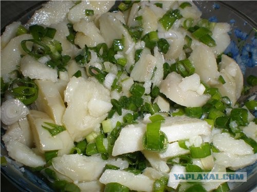 Пищевые привычки. Все из детства