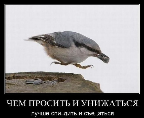 Почувствую себя миллиардером
