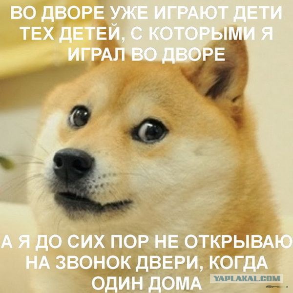 Комменты из соцсетей