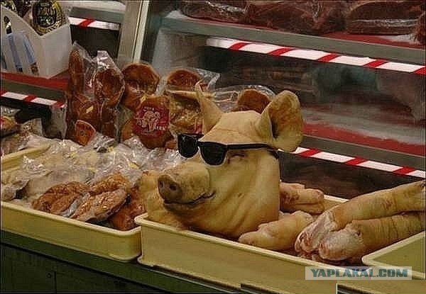 Чёрный юмор