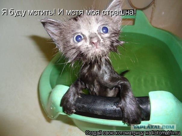 Пощечина