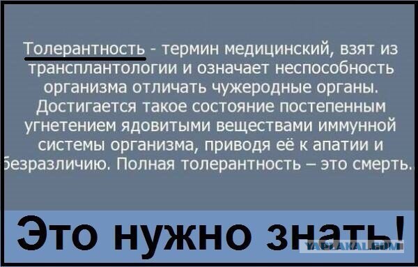 Эти люди нас еще чему-то учат