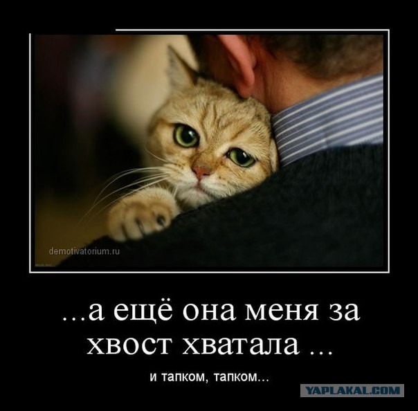 Веселые картинки