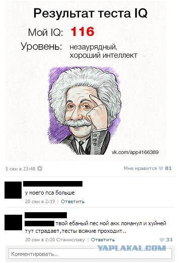 Смешные комментарии из социальных сетей
