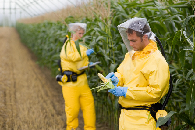 Monsanto собирается скупать украинские земли