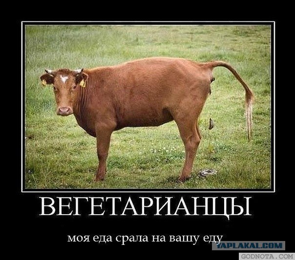 Всё ясно с вегетарианцами