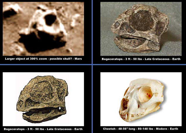 На Марсе обнаружен череп динозавра