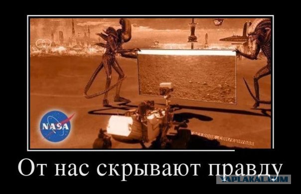Ровер НАСА снял на Марсе животное