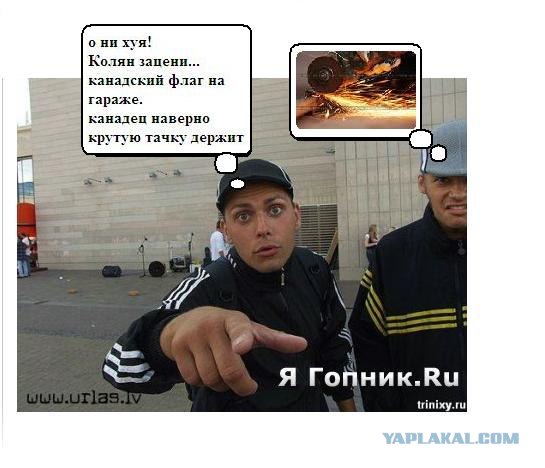 Как необычно покрасить ворота