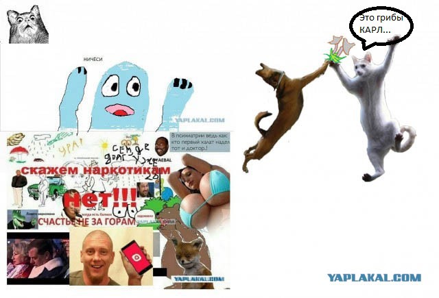 Рисуем всем ЯПом