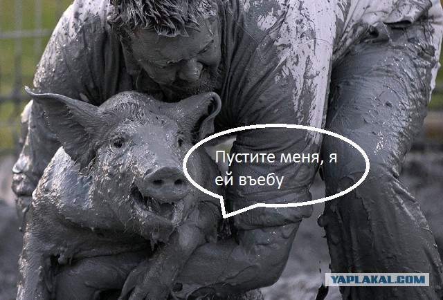 Жара