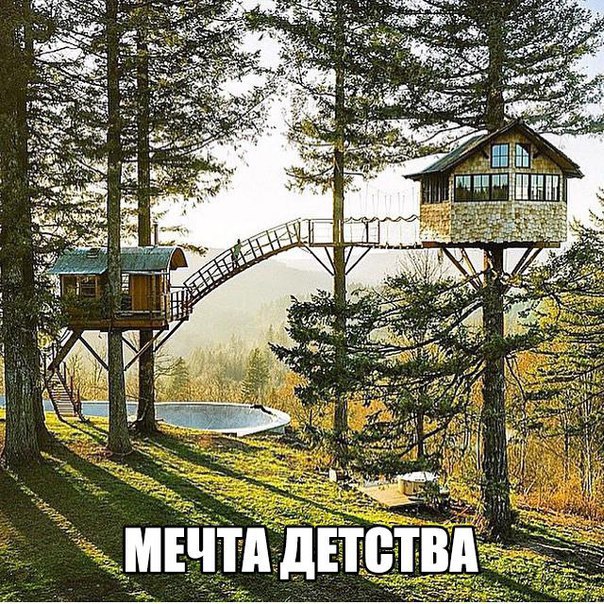 Картинки и прочее