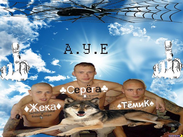 Ужасы и приколы из соцсетей 18+
