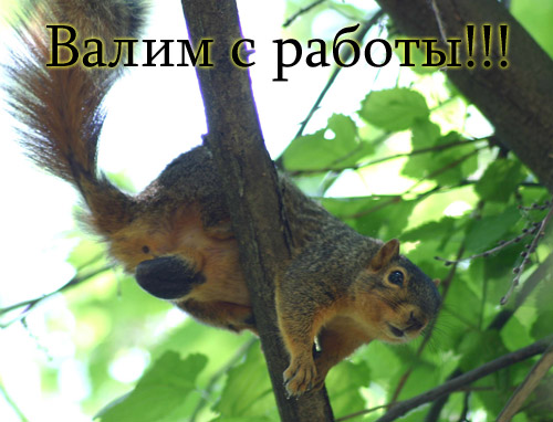 Уже да :) Ужо пятнецца...