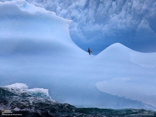 Подборка картинок