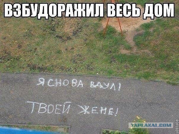 Картинки с надписями