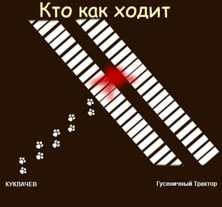 Фотожаба: Кто как ходит