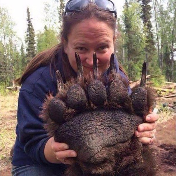 Прикольные животные