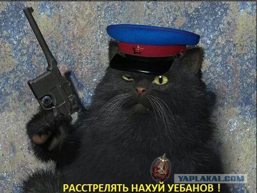 Зарплат не будет!