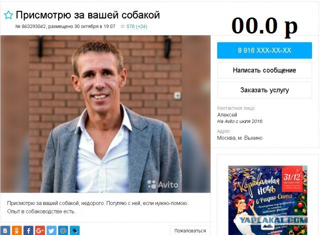 Прикольные картинки