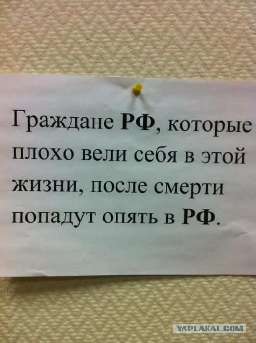 Слегка чёрный и абсурдный юмор