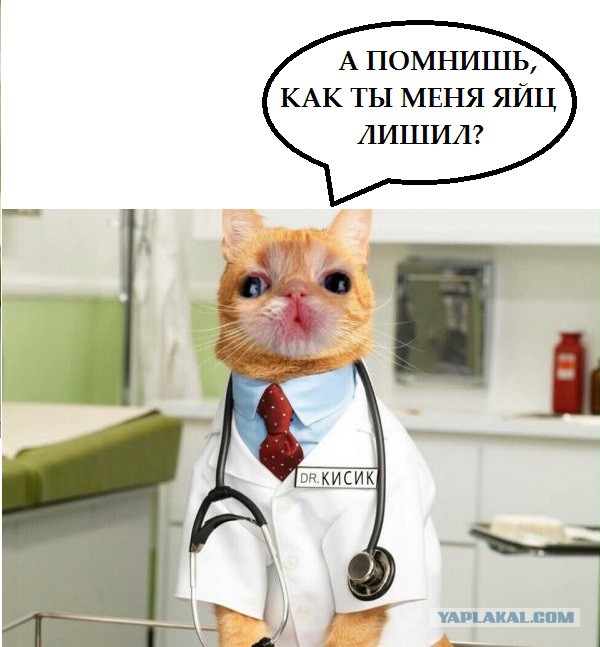 Деградации ЯПу