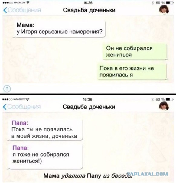Картинки прикольные 25шт