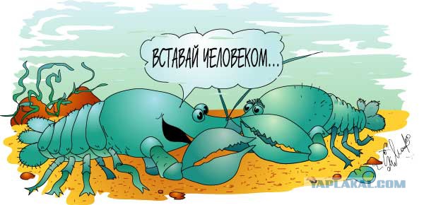 Подборка разных баянов