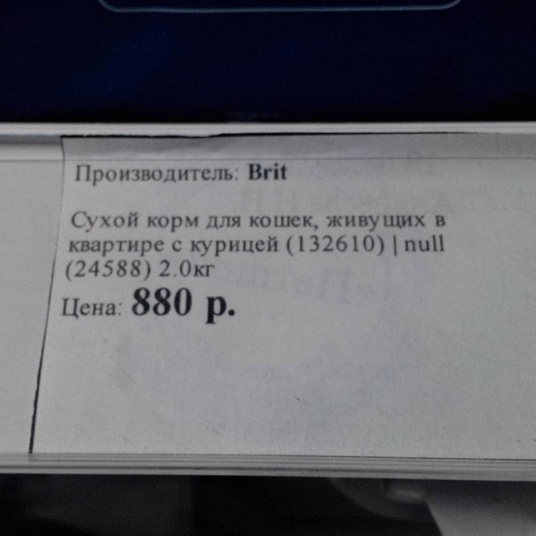 Нас преследует лайтовая воскресная деградация!