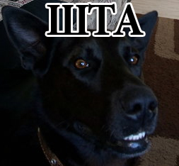 Немного юмора в это воскресенье