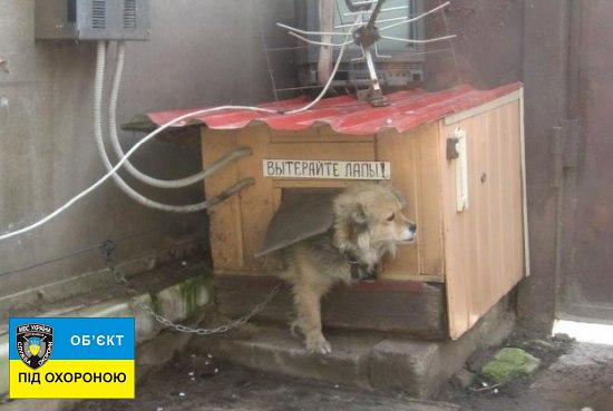 Дом 2 для собаки