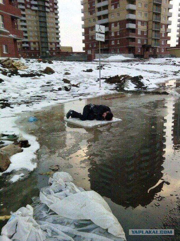 Чудики из социальных сетей 19.01.19