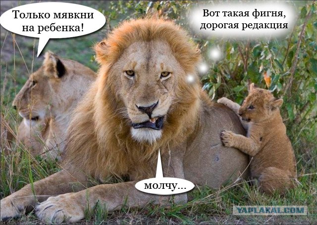 Первая встреча с отцом