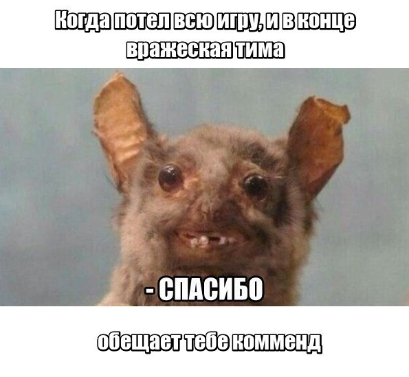 31 первый километр
