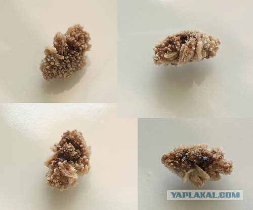 Вкус помидора