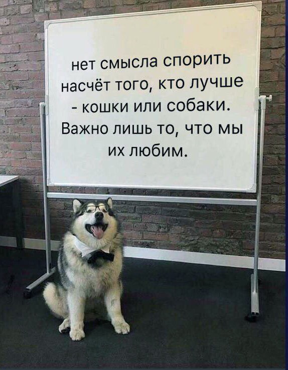 Живность из сети