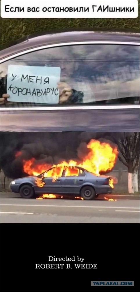 Поздравляю. Снежный ком. Начало