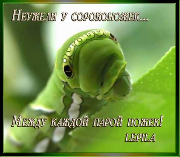 Очень пошлые картинки про это.18+