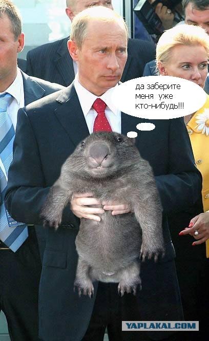 Фотожаба: Путин и зверь